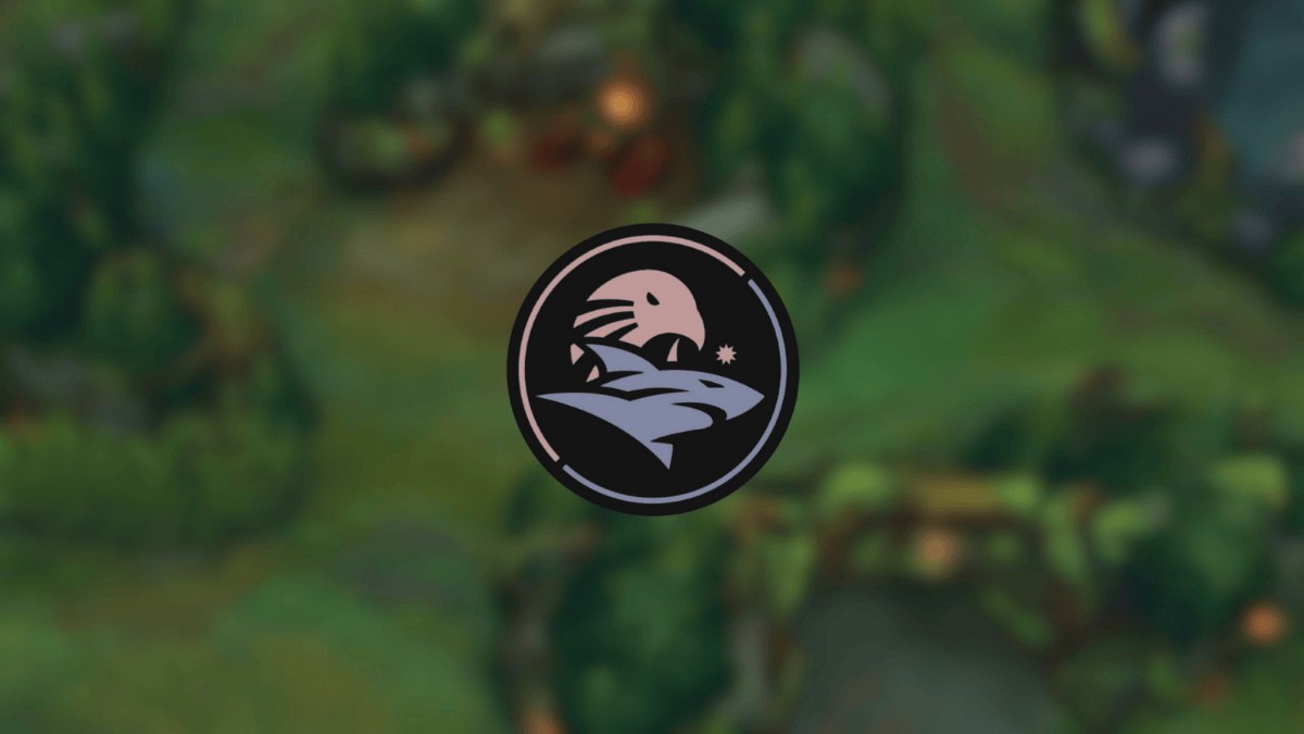 LTA Sul 2025: Isurus e Estral confirmam fim de parceria