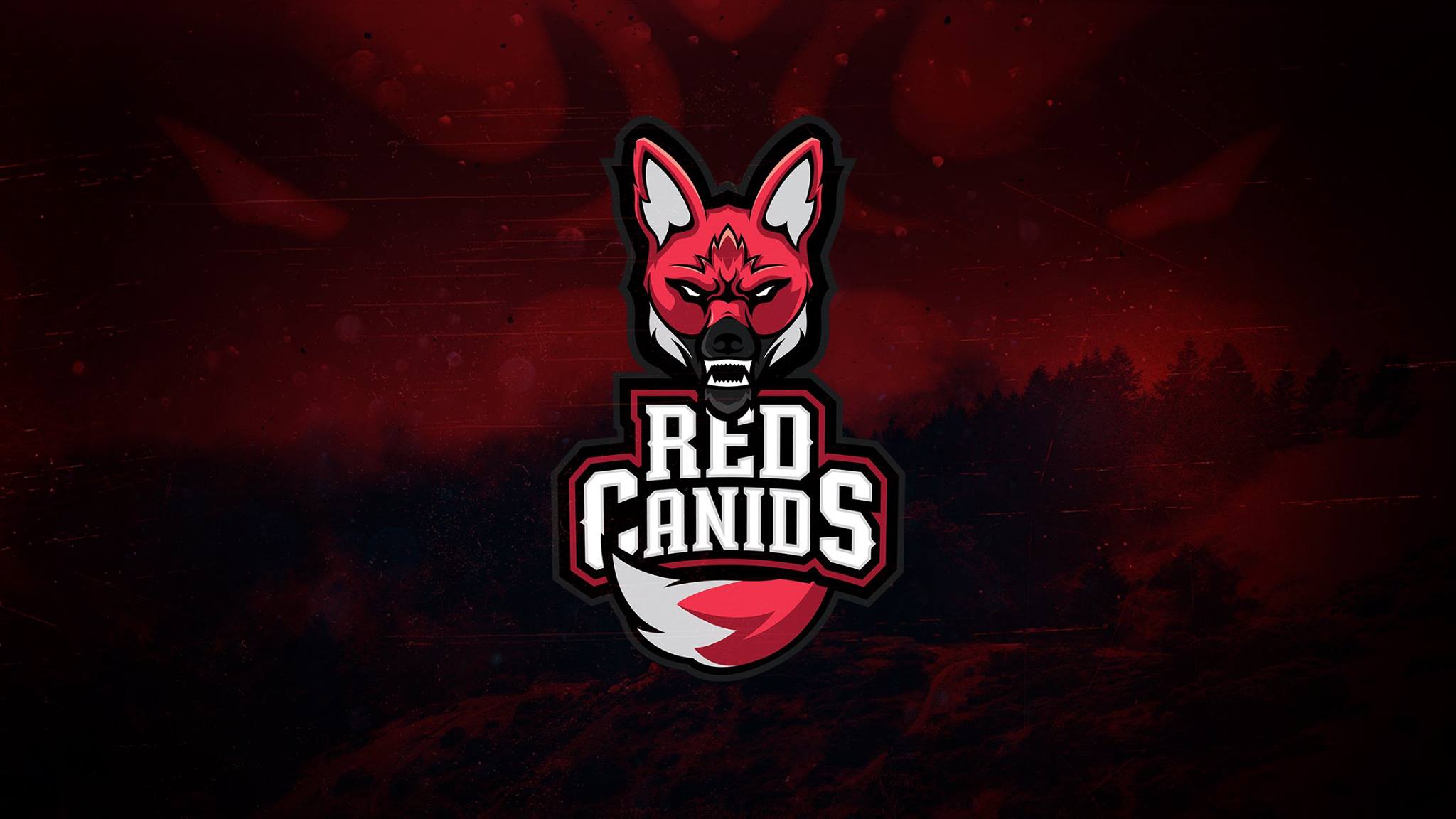Red Canids recusa o convite para participar da IEM Katowice