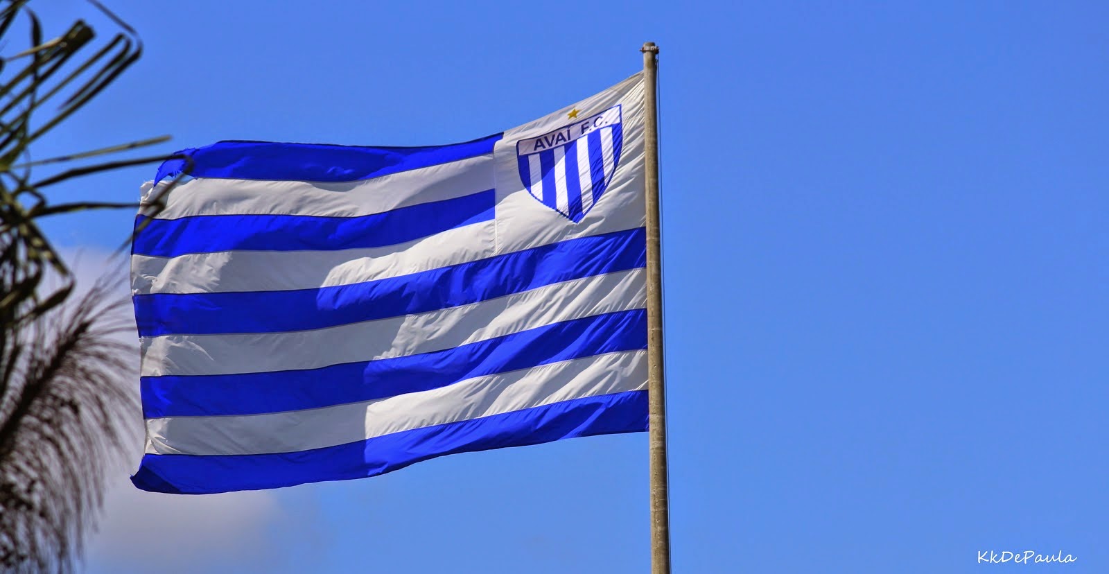 Avaí anuncia entrada no e-Sport com Gaming House no Estádio da Ressacada