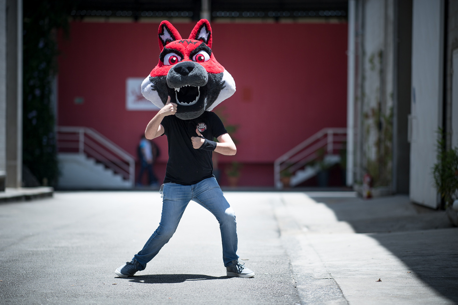 Em série disputadíssima, RED Canids vence a ProGaming por 2-1