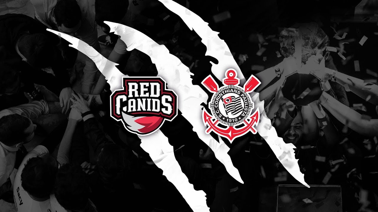 RED Canids Corinthians anuncia line-up da RED Academy