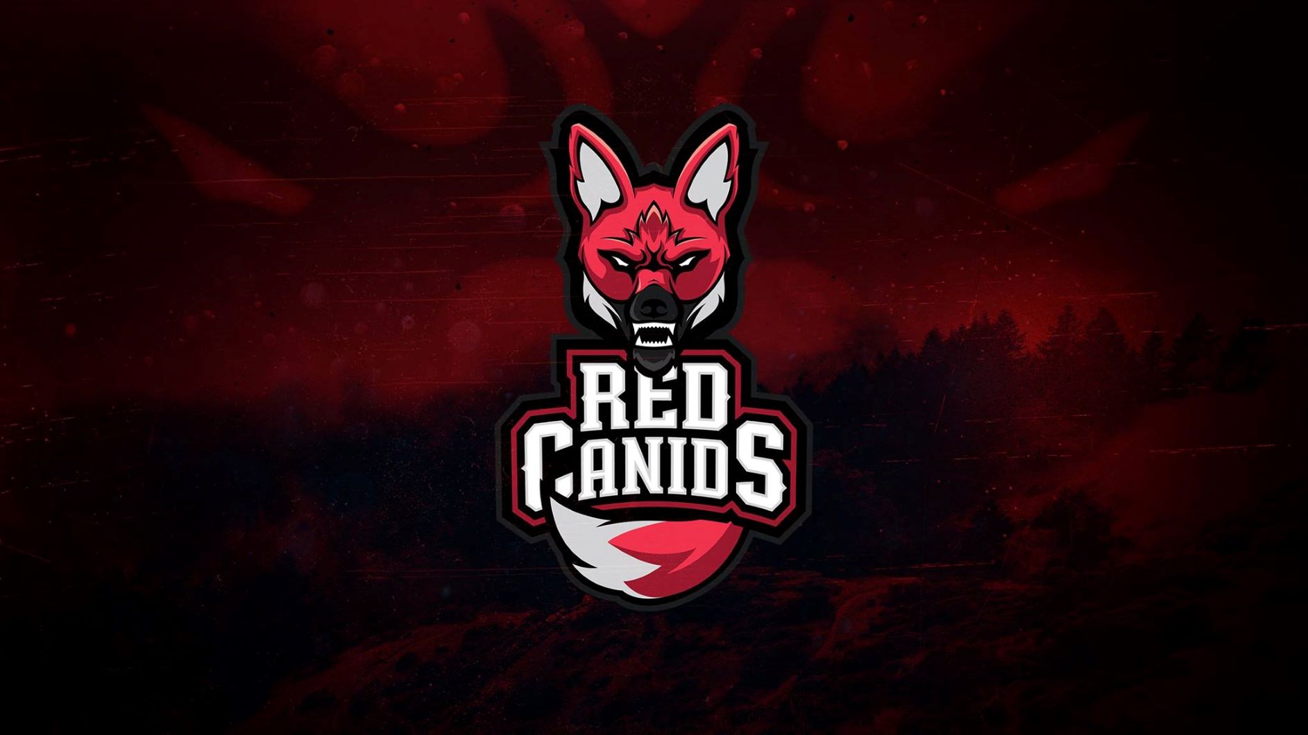 Fortnite: RED Canids anuncia entrada no competitivo do game